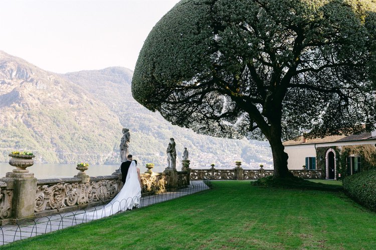 The famous umbrella-shaped holm oak on the lawn