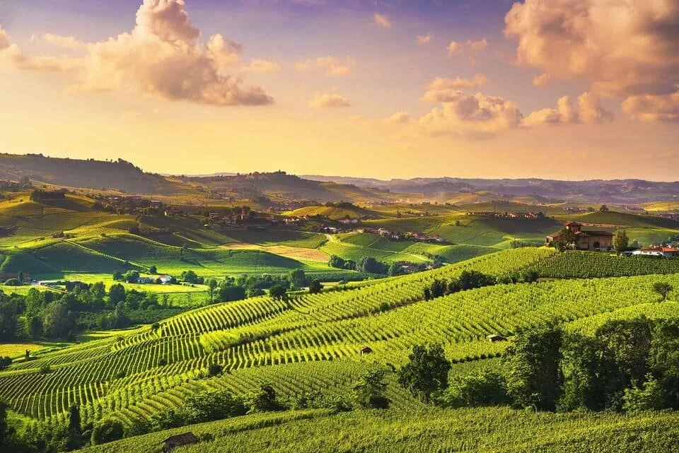 Langhe elopement — eloping in Langhe, Italy
